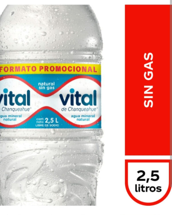 Agua Vital Sin Gas 2.5 ml